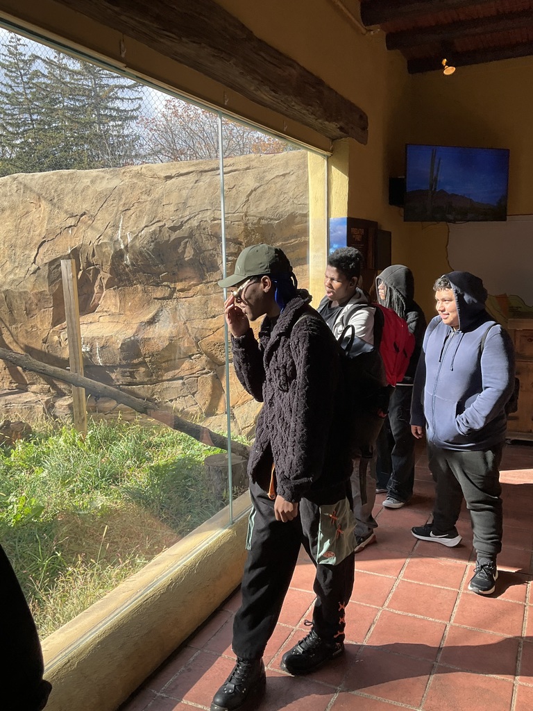 Four students are looking into a large animal enclosure