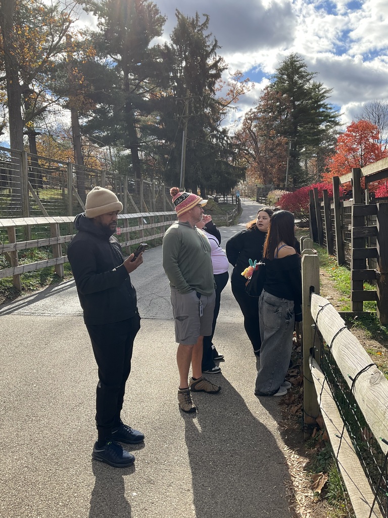 Teachers and students are looking at animals together at the zoo.