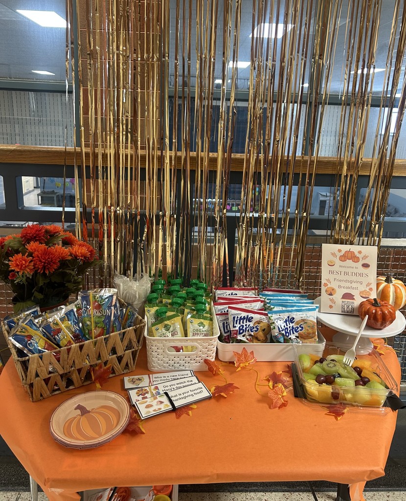 Photo of Best Buddies Fun.