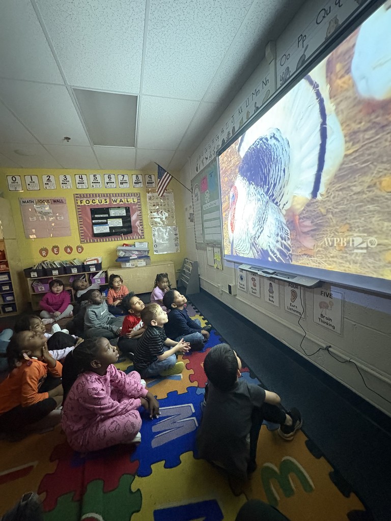 Students watching a video about farm animals 
