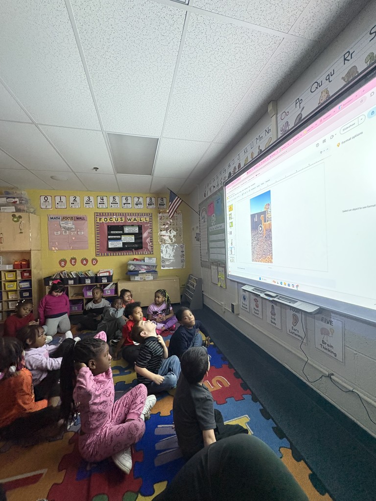 Students watching a video about the farm