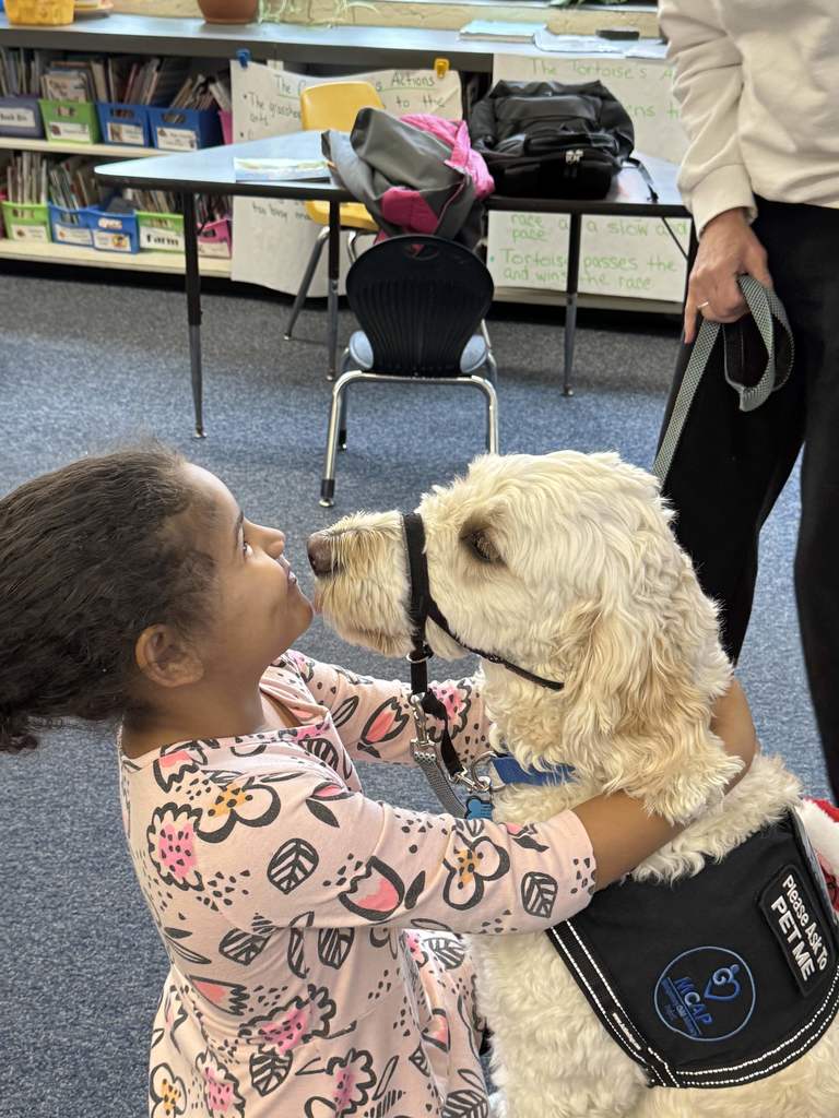 Nutmeg the service dog enjoys a cuddle with a first grade student.