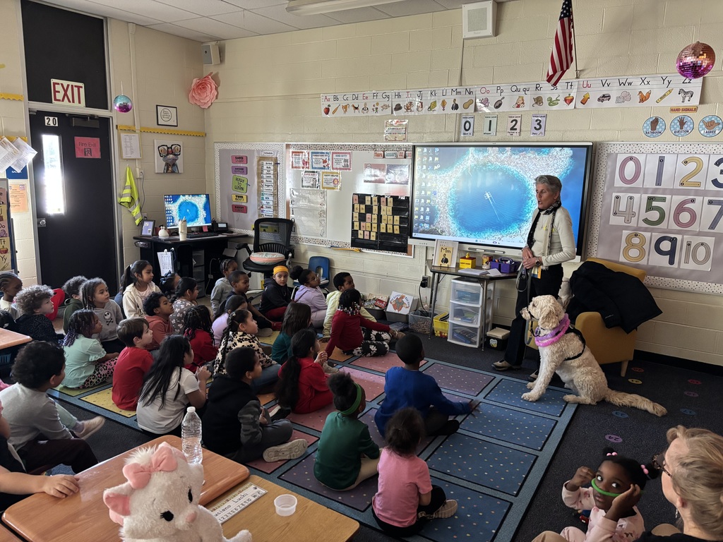 Nutmeg the service dog visits a Kindergarten classroom.