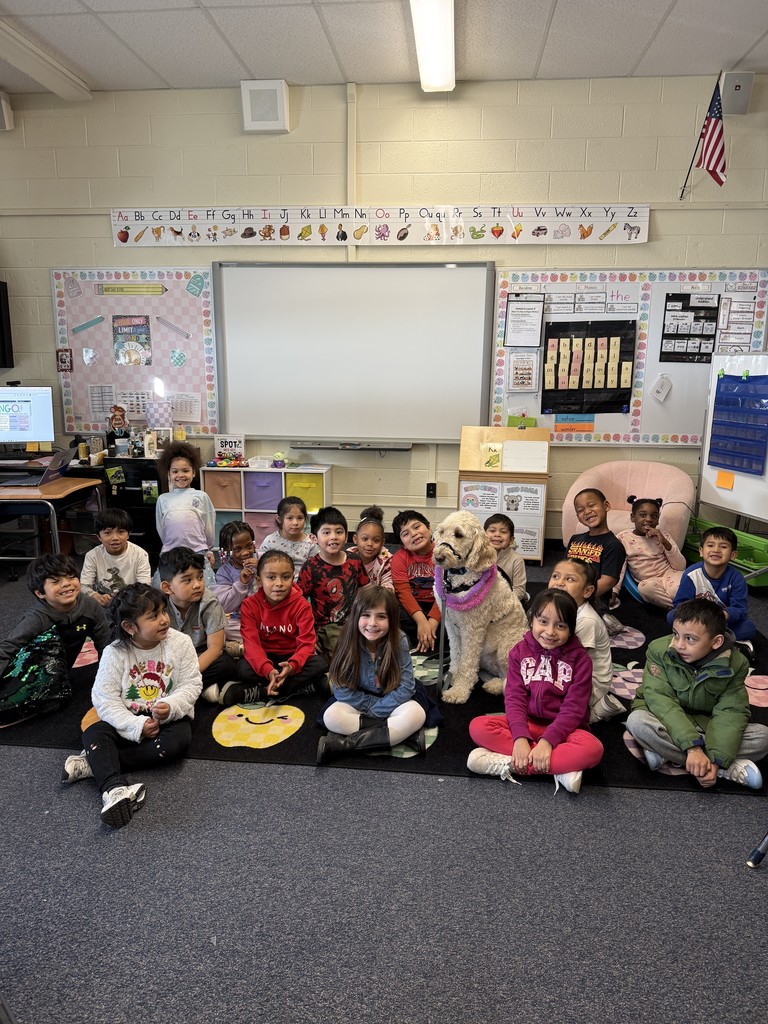 Nutmeg the service dog visits a Kindergarten classroom.