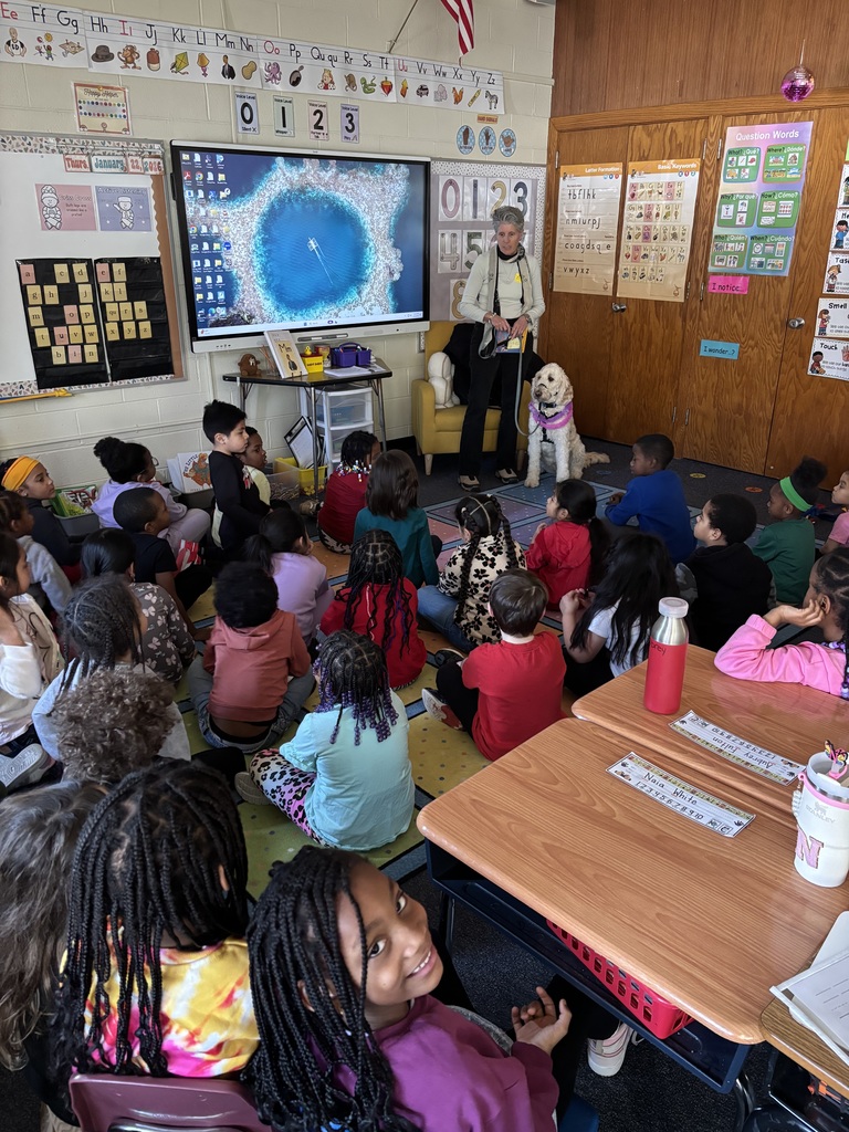 Nutmeg the service dog visits a Kindergarten classroom.
