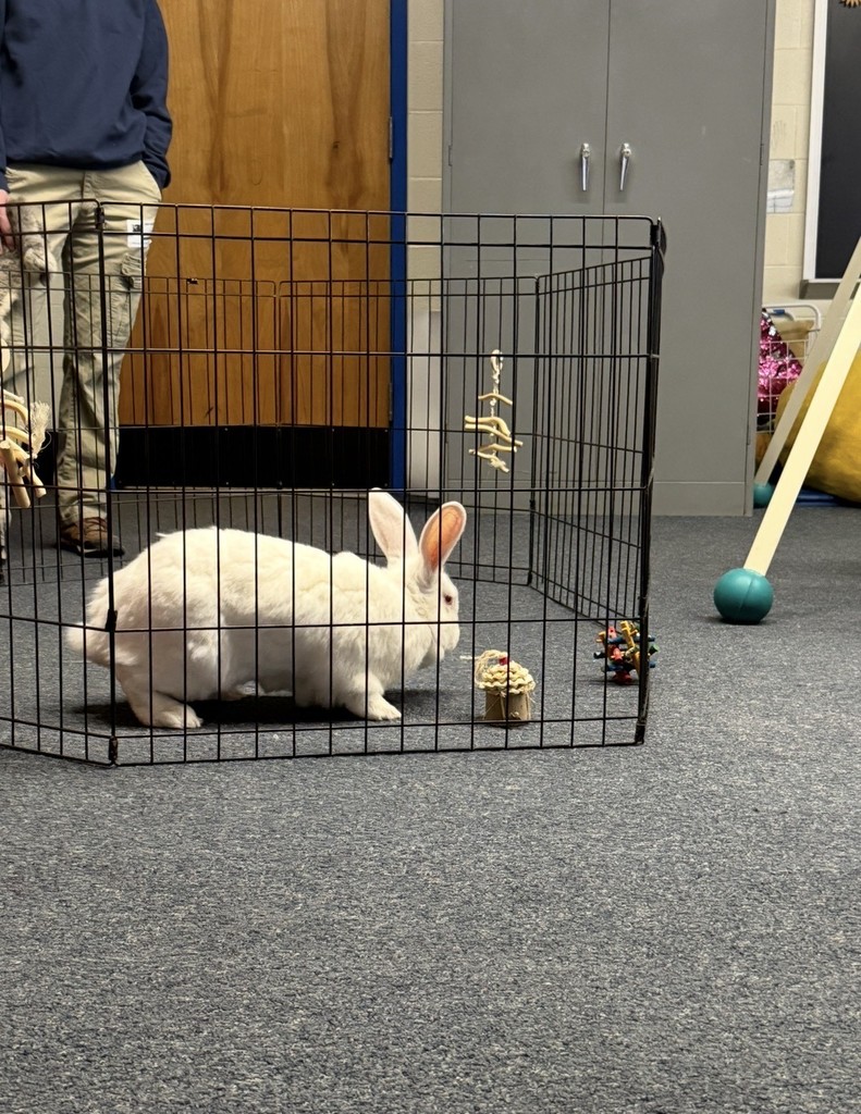 Waldo the albino rabbit visits from Zoo on Wheels.