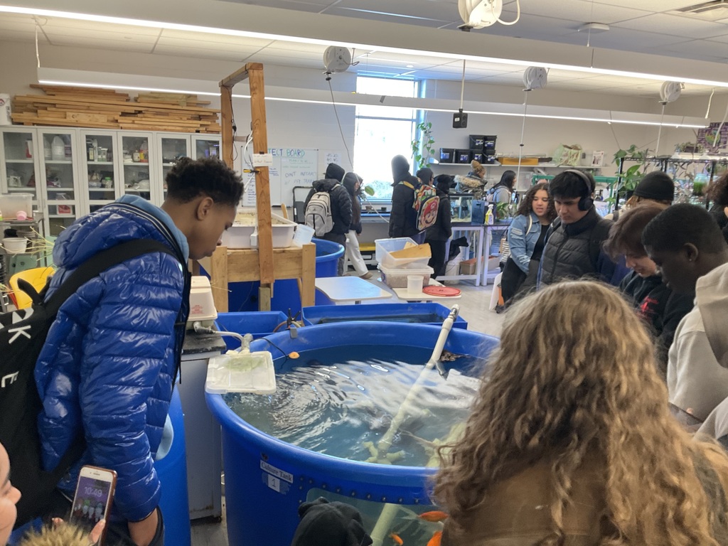 Students exploring wildlife