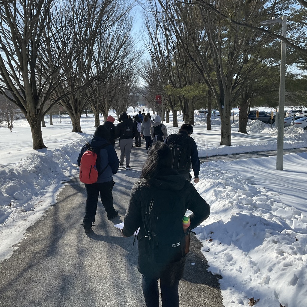 Students exploring campus