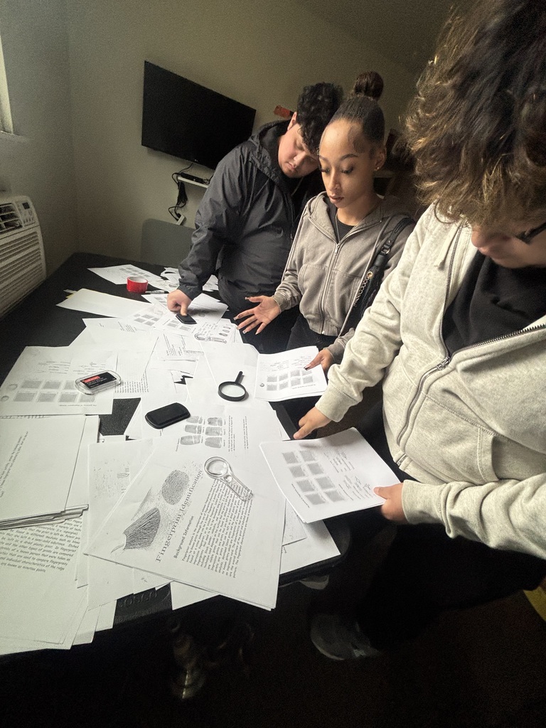 Students are working together and looking at pictures and documents to solve a crime.