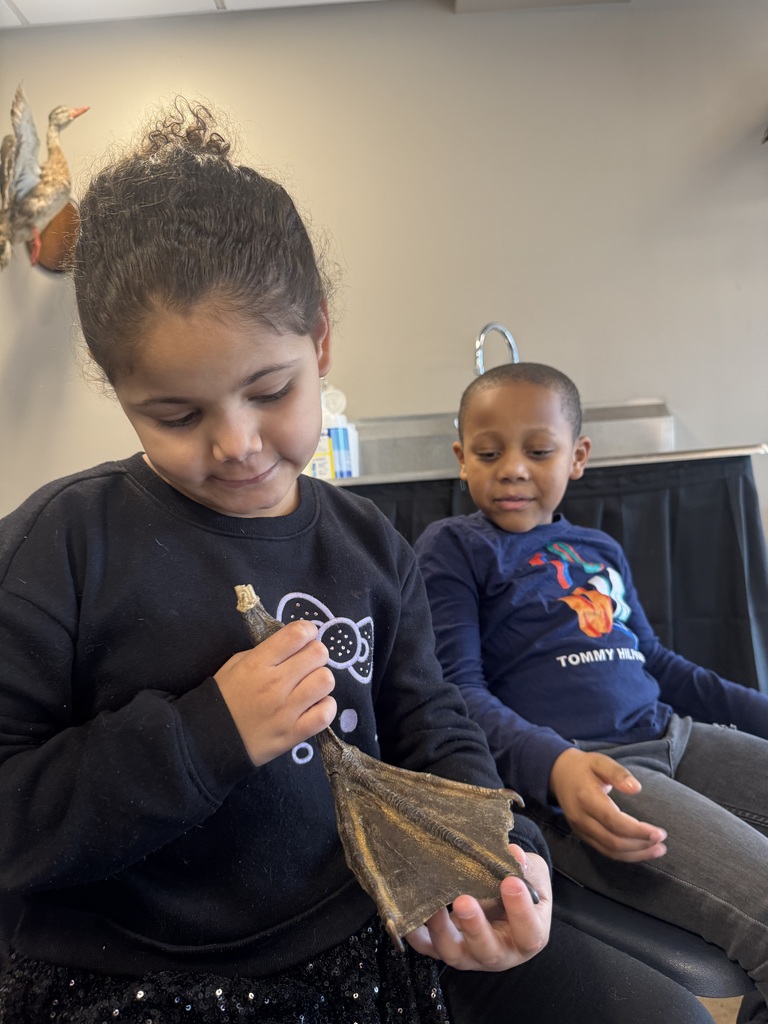 First graders visit the John James Audubon Center.