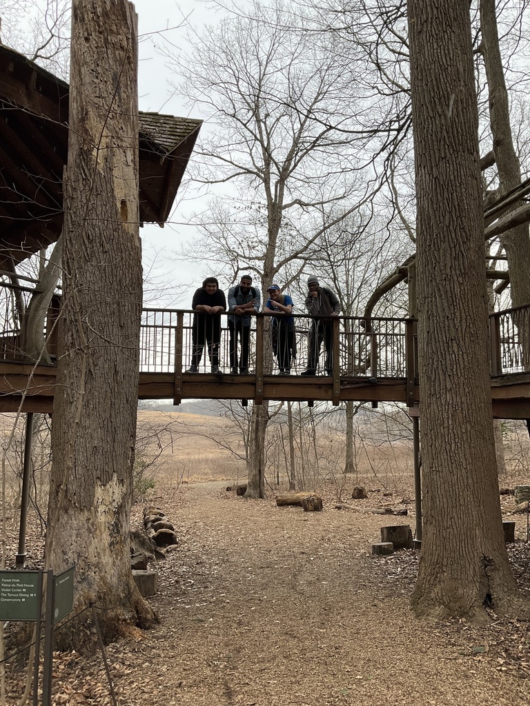 Students and teachers are on a bridge in the treehouse
