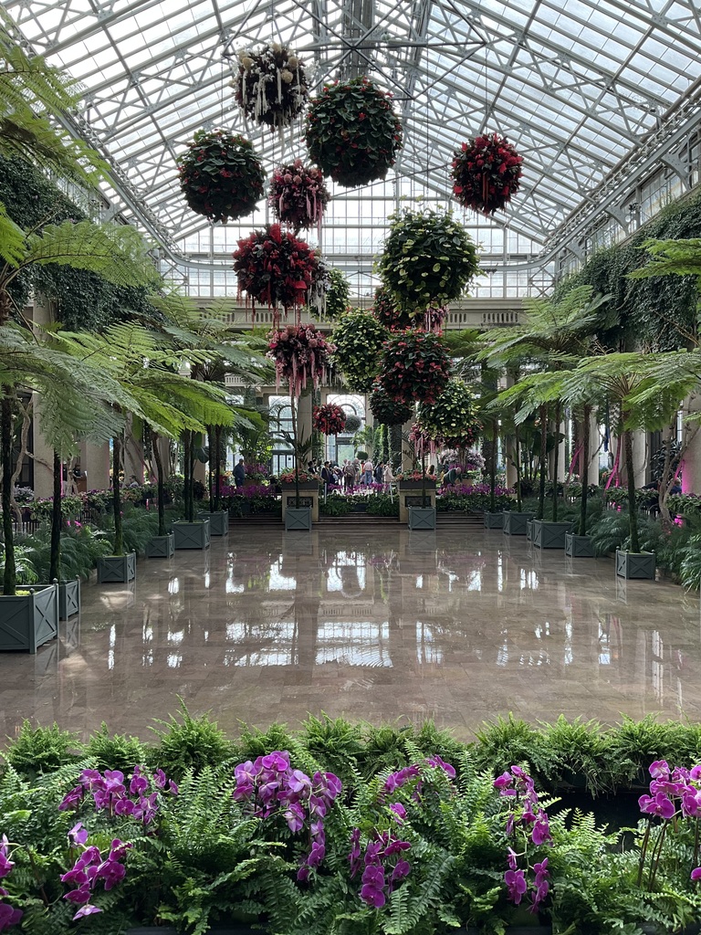 A view of various flowers from inside the greenhouse
