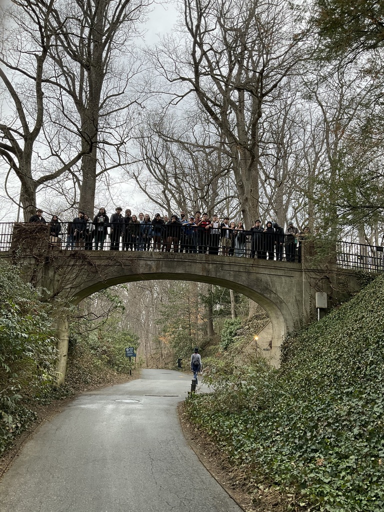 A group shot of all students on a bridge