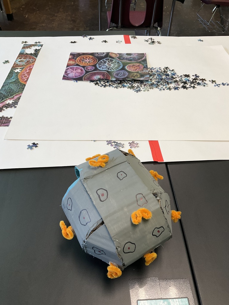 A photo of a student's project in biology