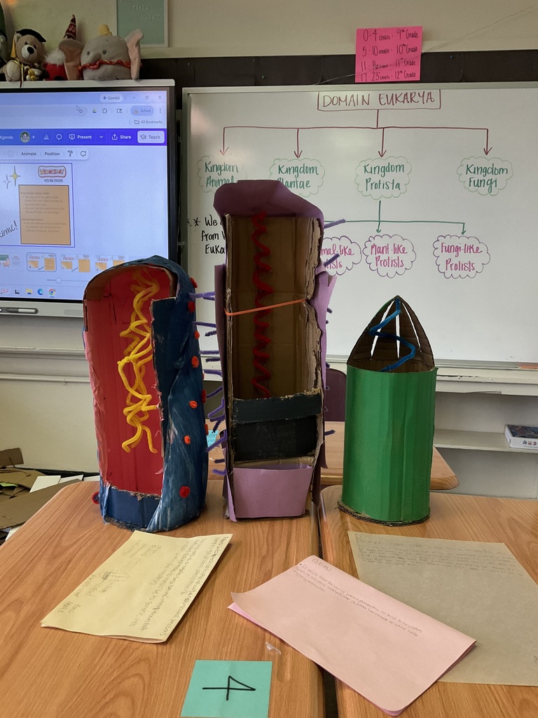 Scientific models made by students
