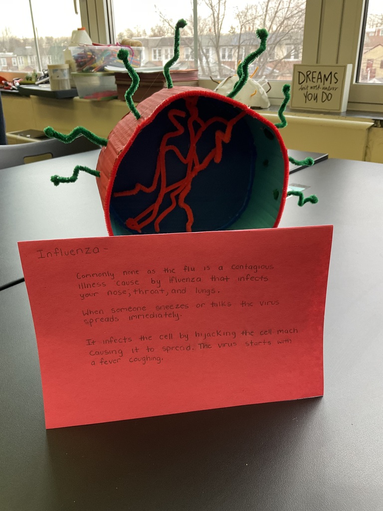 A scientific model that a student made