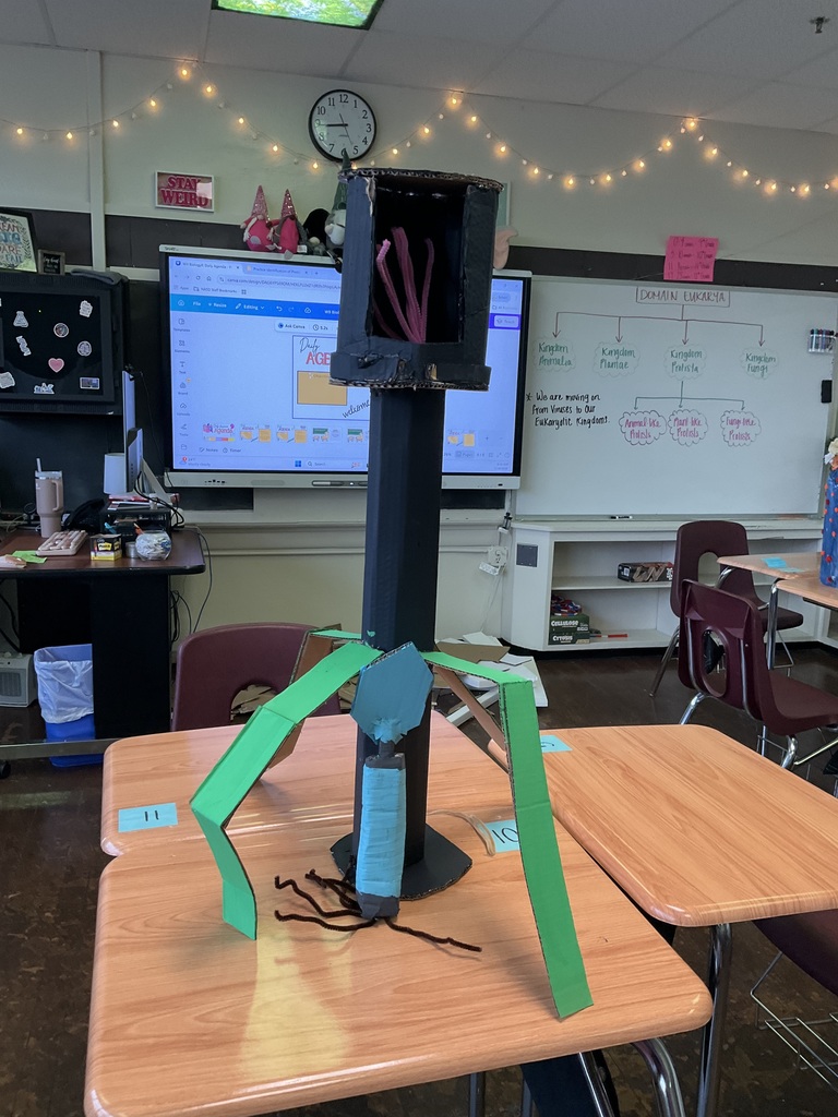 A scientific model made by a student