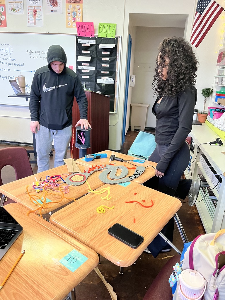 Students working on a model in biology