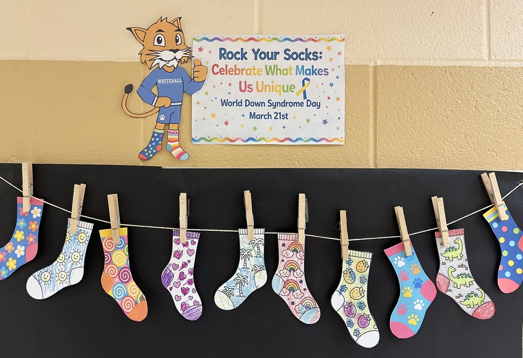  World Down Syndrome Day, "Rocking Our Socks".