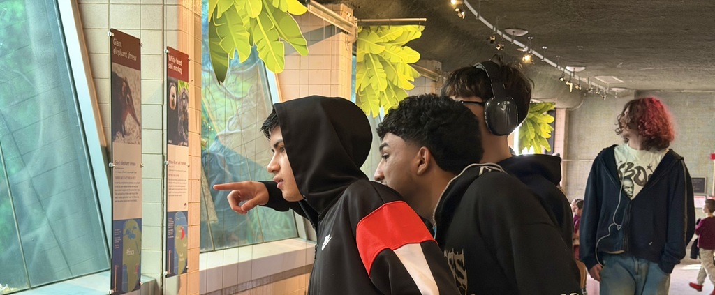 Students are pointing to an exhibit at the zoo