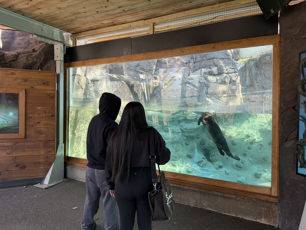 Two students are looking at the otter exhibit