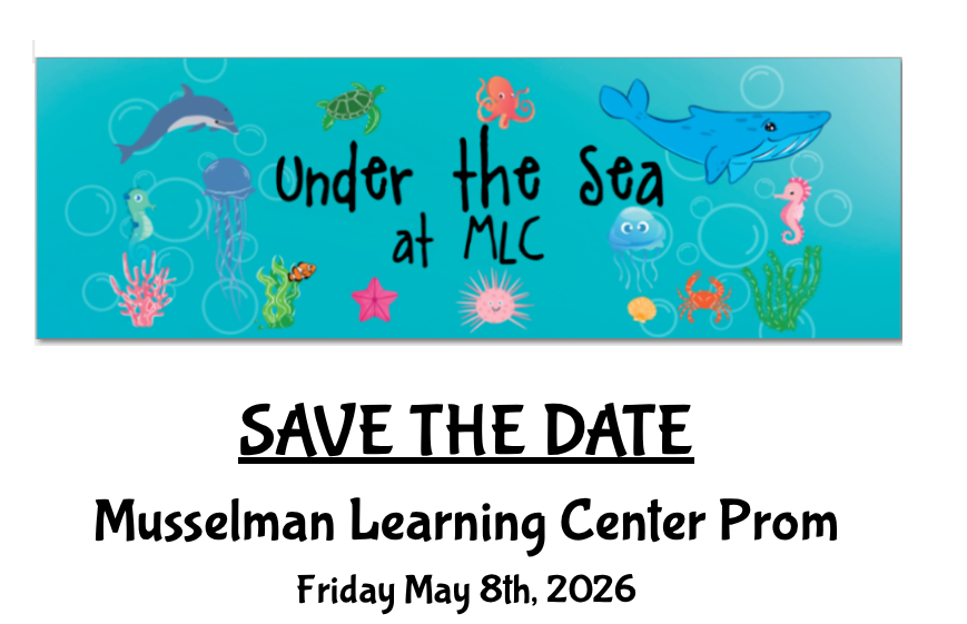 see caption for details