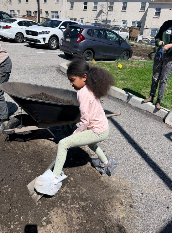 A student shoveling dirt