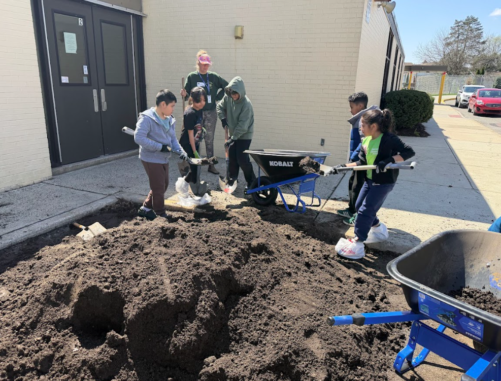 Students shoveling dirt