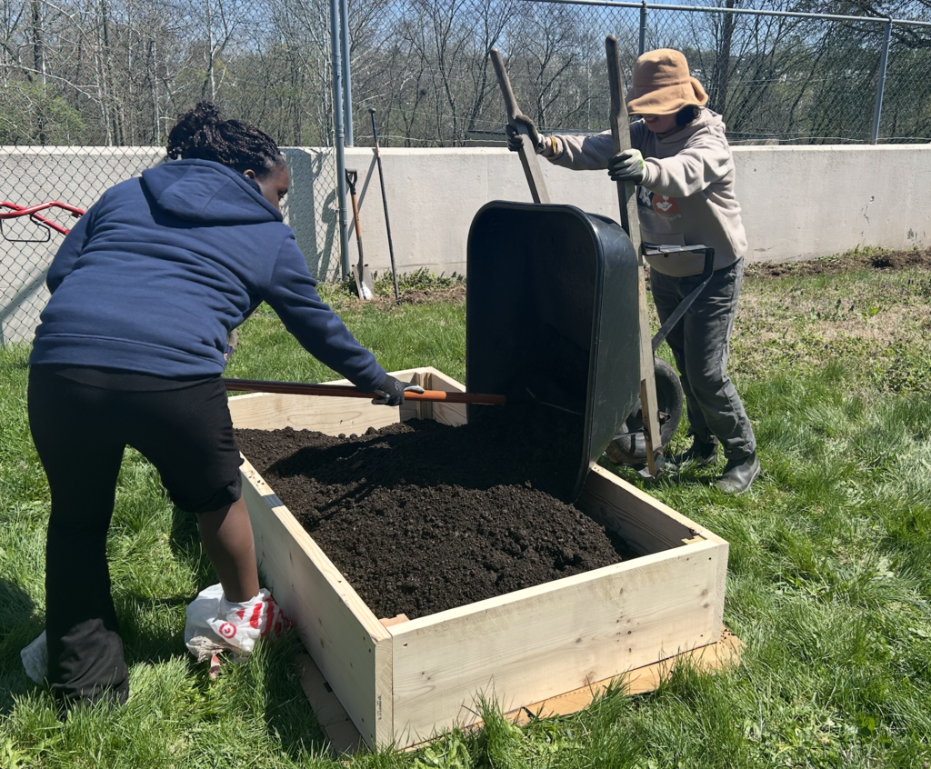 A student and a worker dumping dirt into the flower beds