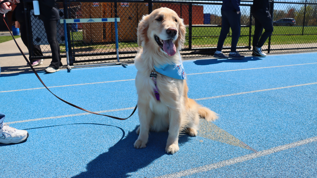 Therapy dog poses for a photo. 