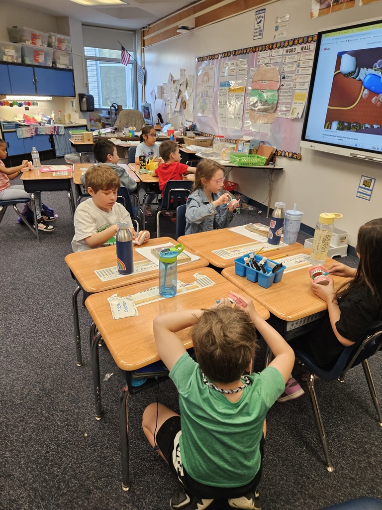 Dental Hygiene visits in 1st grade.