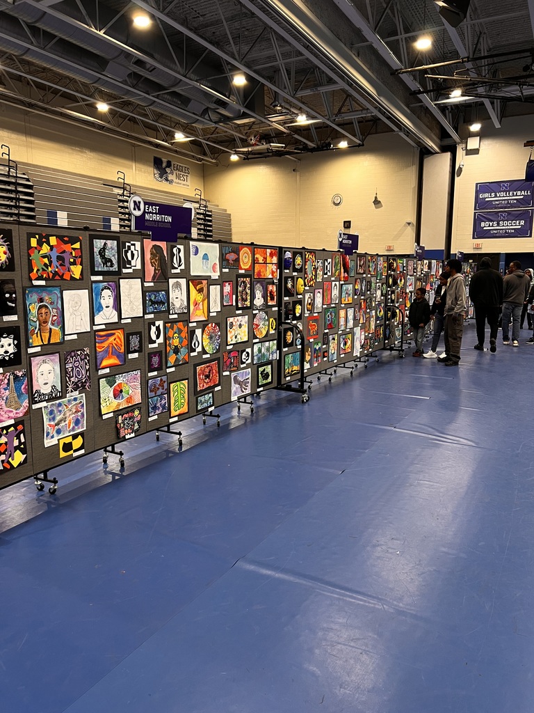 A lot of work made by students is on display in the NAHS gym
