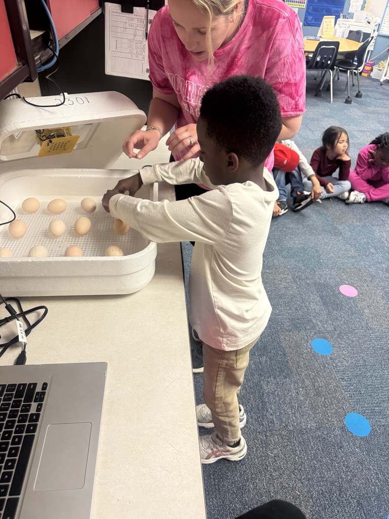 Chicks are getting ready to hatch!
