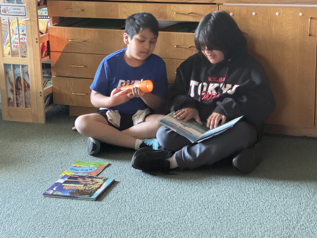 3rd Grade "Drop Everything and Read".
