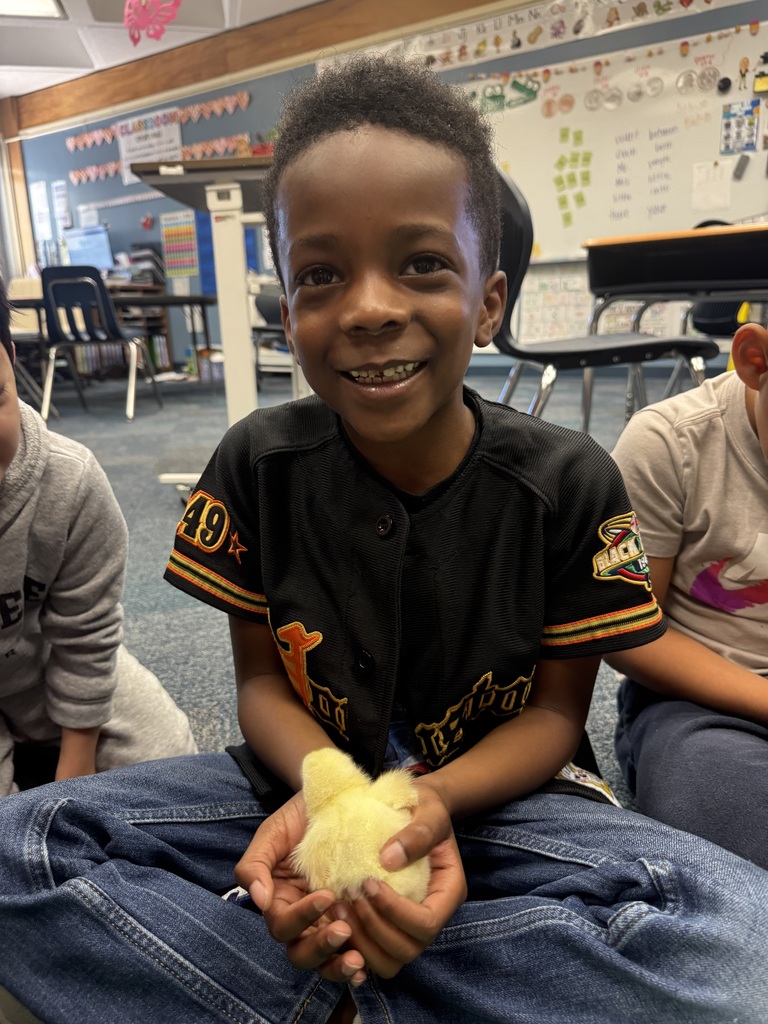 Chicks hatched here at PVF. 