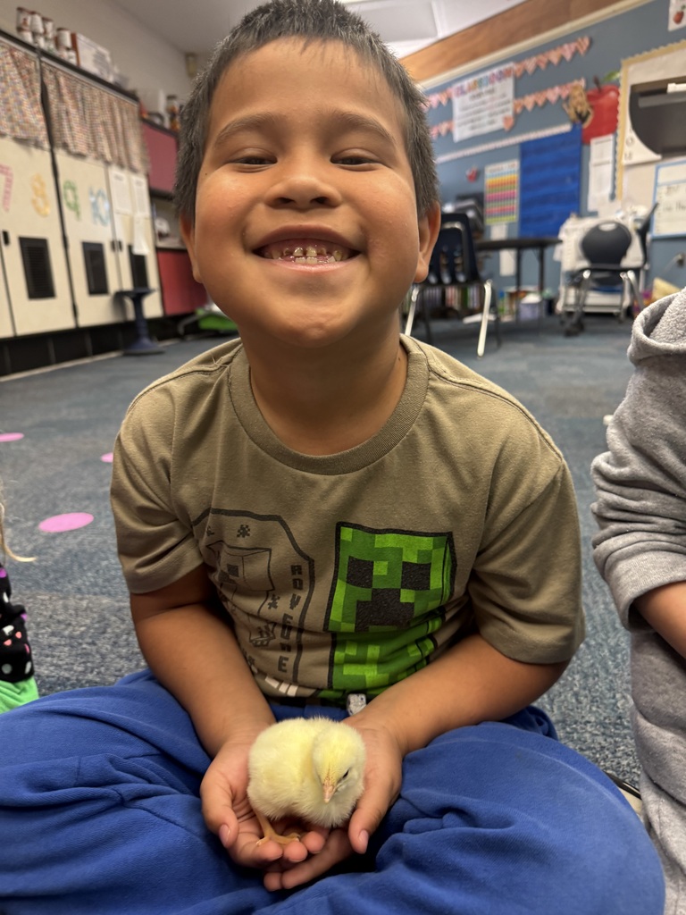 Chicks hatched here at PVF. 