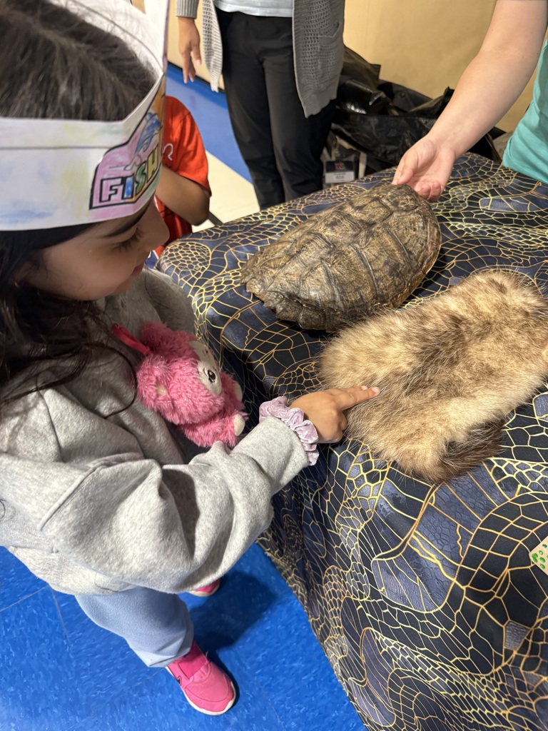 Kindergarten had a wonderful time with the Zoo on Wheels today!