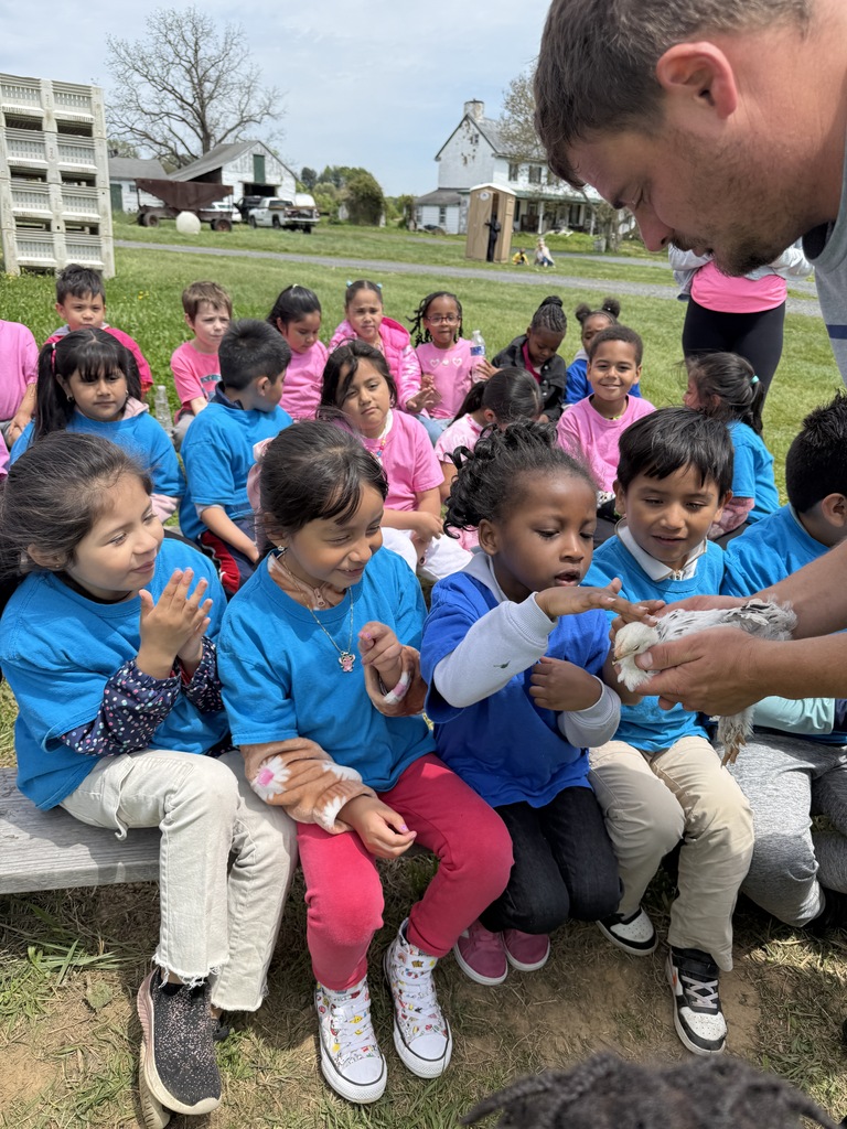 Kindergartners pet a chicken.