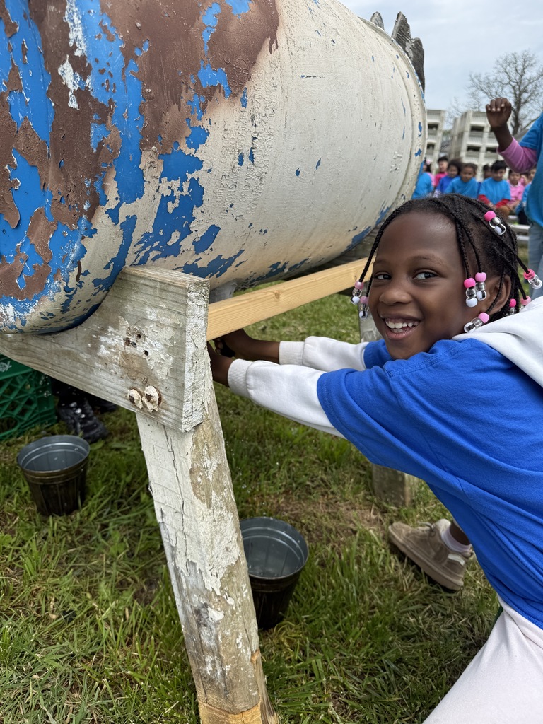 Kindergartners learn how to milk a cow.