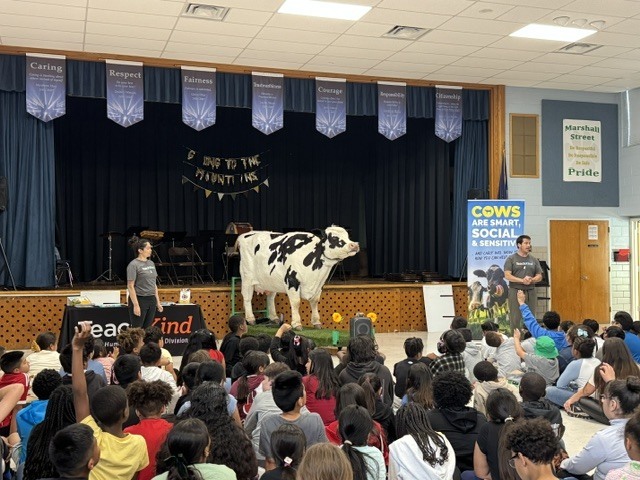 Carly the Cow visits Marshall Street Elementary.