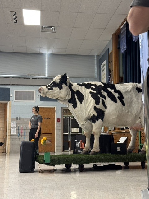Carly the Cow visits Marshall Street Elementary.