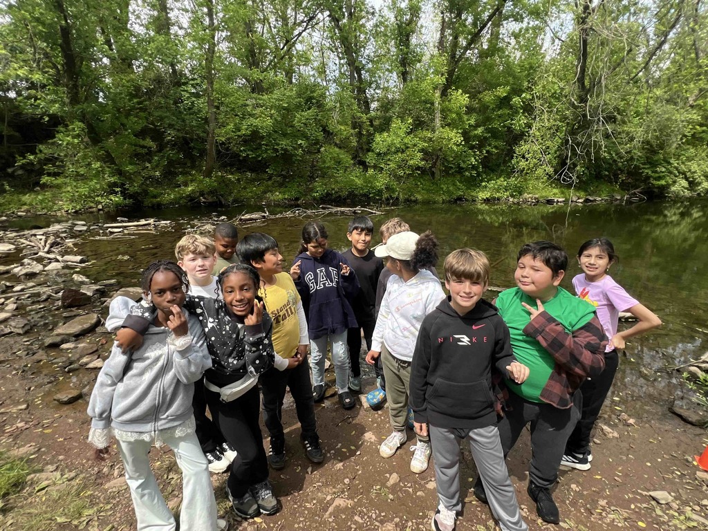 Students explore Stoney Creek for creatures.