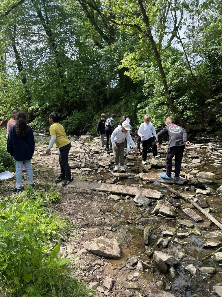 Students explore Stoney Creek for creatures.