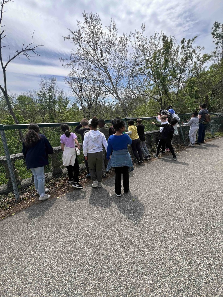 Thirde graders went on a nature walk all while documenting their learning in their nature journal.