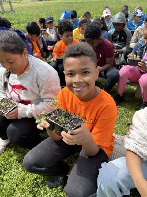 Students plant a small garden.