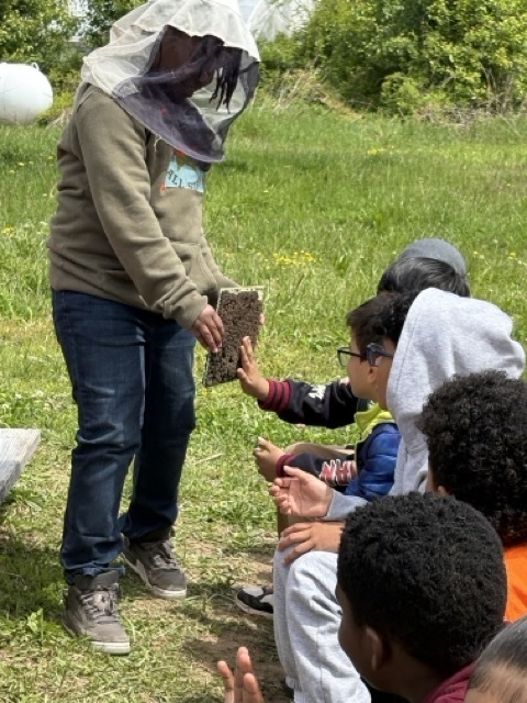 Students touch a honey comb from one of the farm's bee hives.