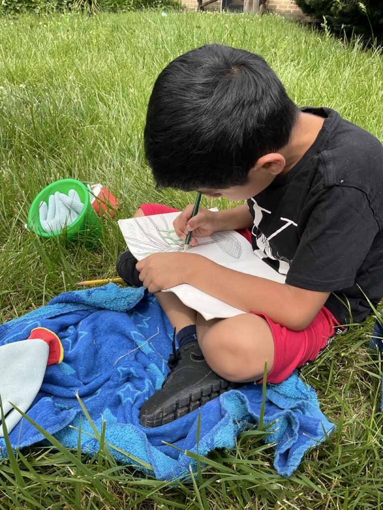A student draws in his nature journal.