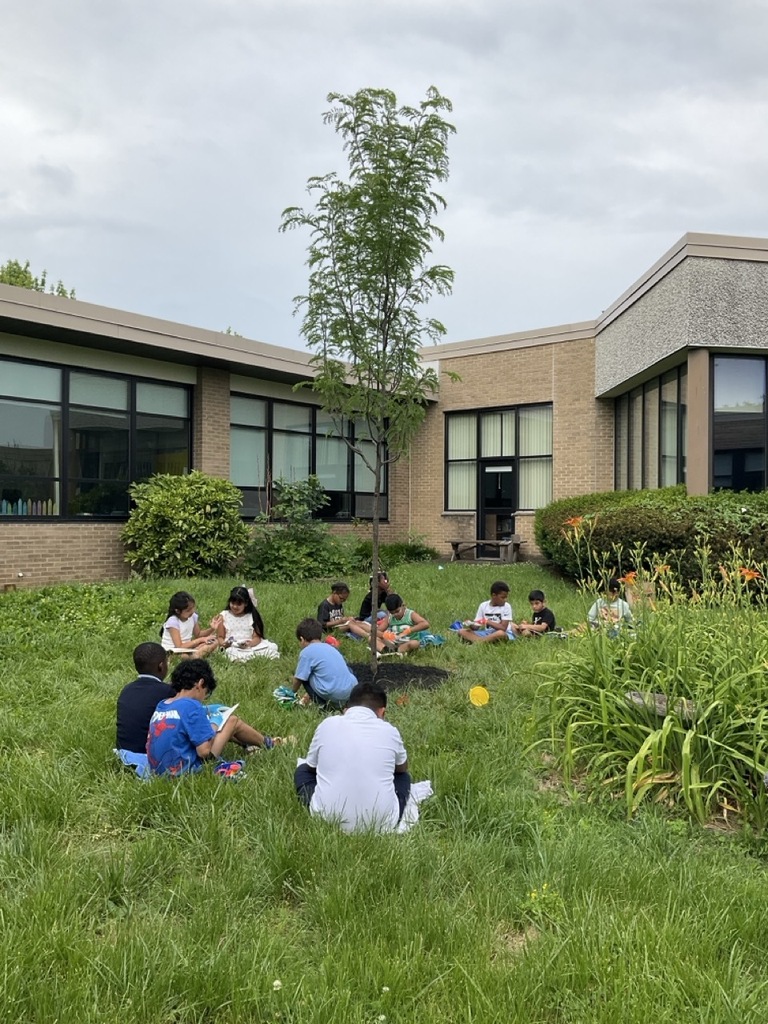 Students create an entry in their nature journals for the Honey Locust tree.
