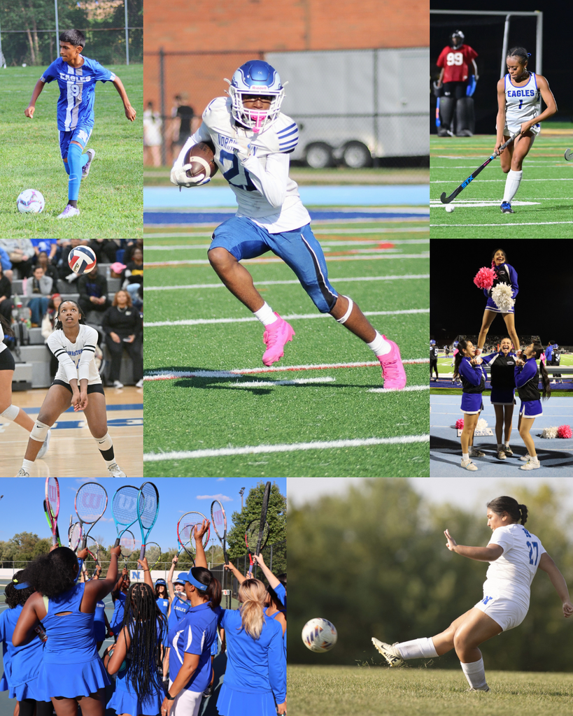 Collage of student athletes playing sports.