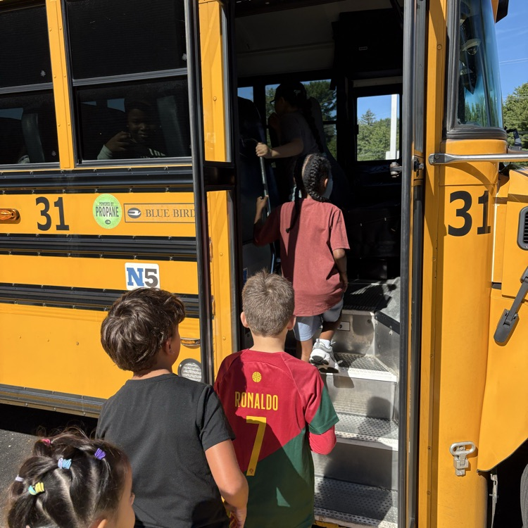 Bus lessons started today and will continue all week